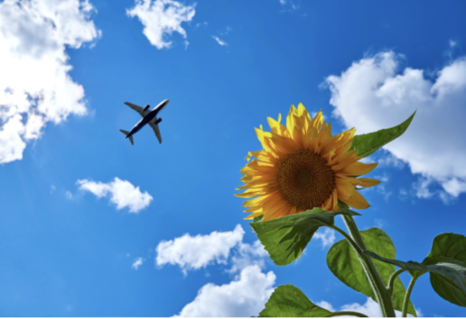 Un avion en vol dans un ciel bleu nuageux avec un grand soleil levant en premier plan.