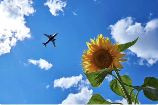 Un avion en vol dans un ciel bleu nuageux avec un grand soleil levant en premier plan.